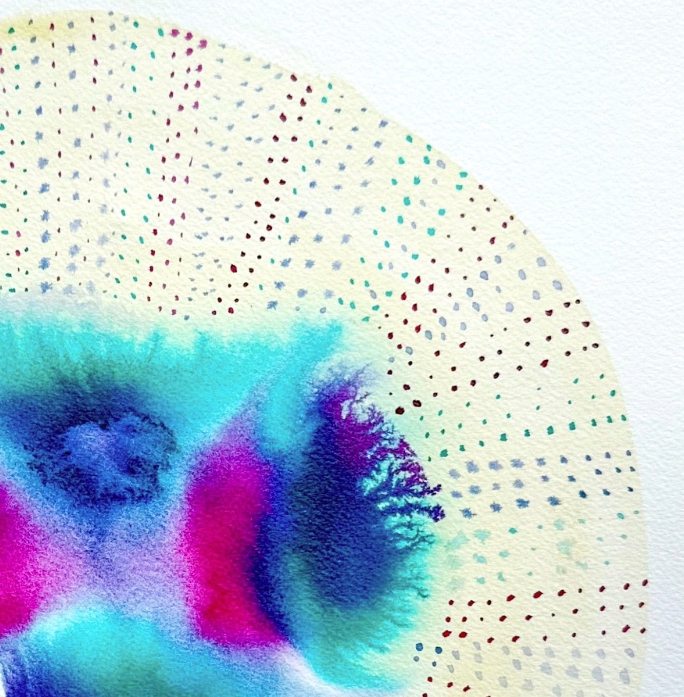 Urchin Bloom VI