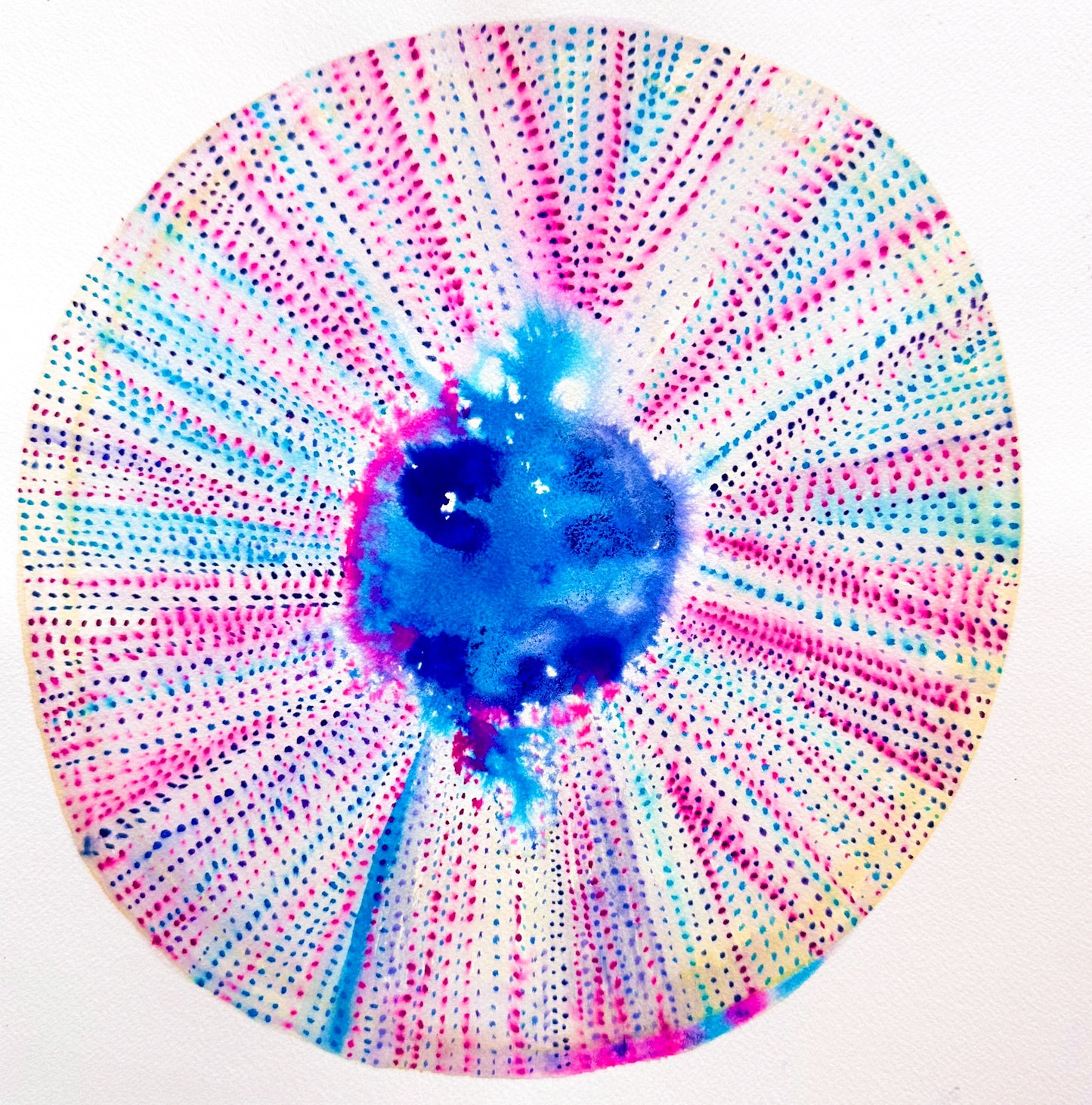 Urchin Bloom IV