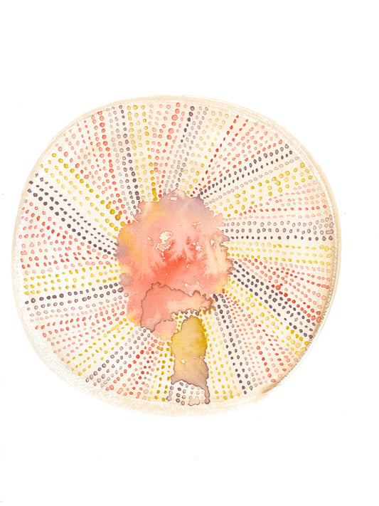 Urchin Bloom II