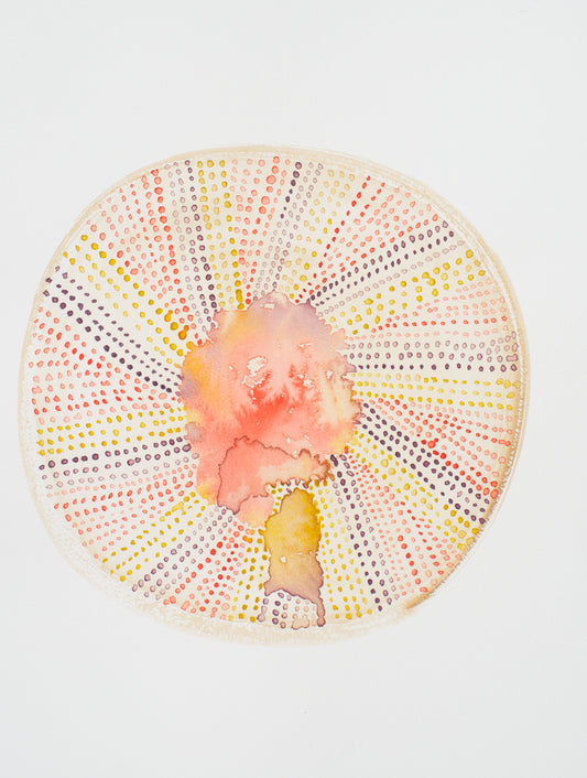Urchin Bloom II