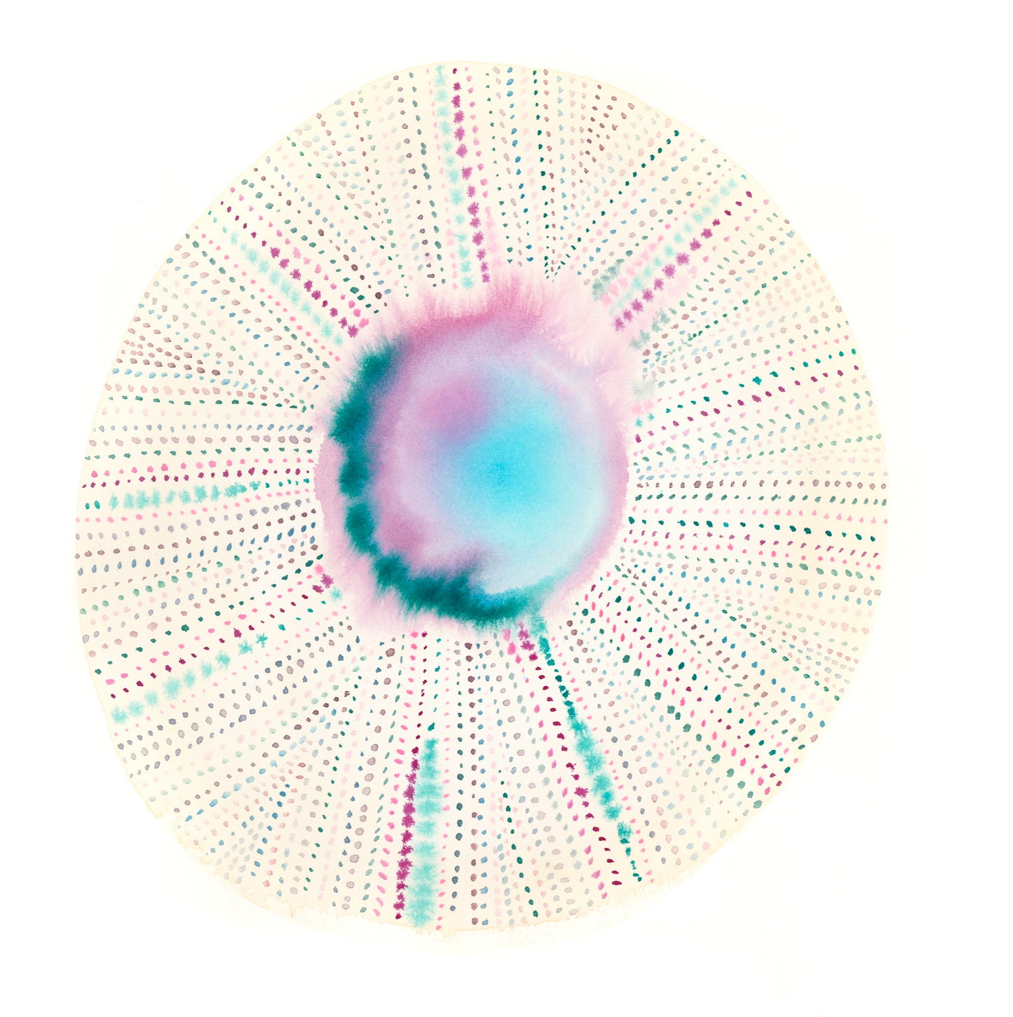 Urchin Bloom III